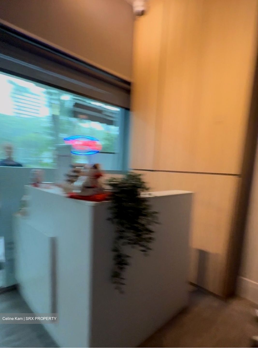 Lorong 7 Toa Payoh (D12), Shop House #504207771